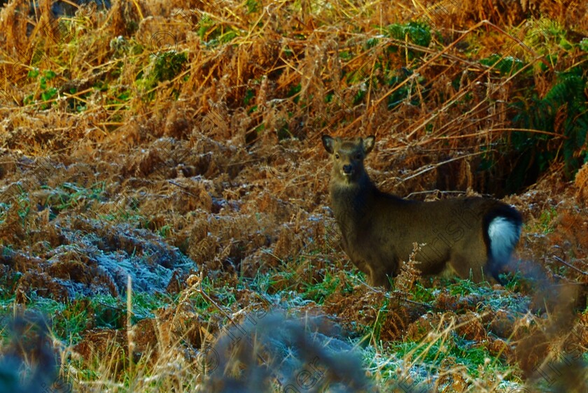 DSC 2025 (2) 
 You looking at me? Taken 10/12/2022. Picture: Sean McInerney.