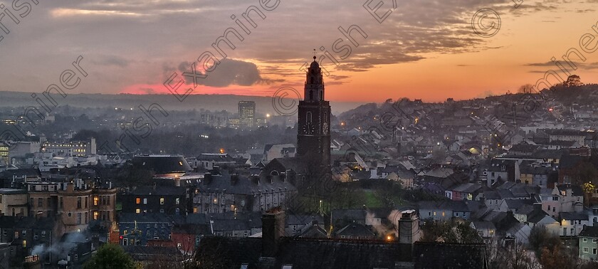 20241126 165147 
 Whales approaching Shandon. Picture: Donal Cashman