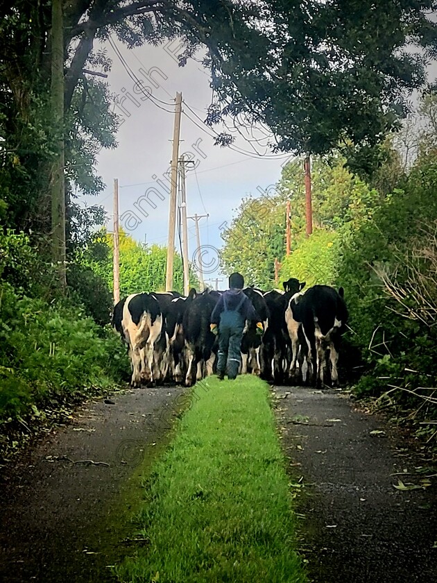 IMG-20230923-WA0001(1) 
 Start them young! Fionn dping what he loves most in Galbally, Co. Limerick
Picture: Jason Power