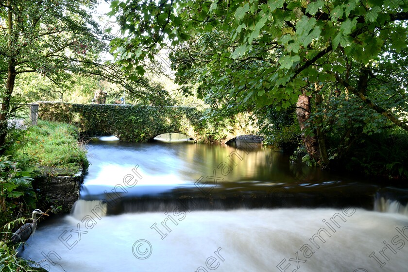 DSC 2440 
 The Static Heron , A heron remains perfectly motionless , during a 15 second long exposure photograph , on the Flooded Curaheen river near Bishopstown in Cork shot taken on Sunday the 1st of October