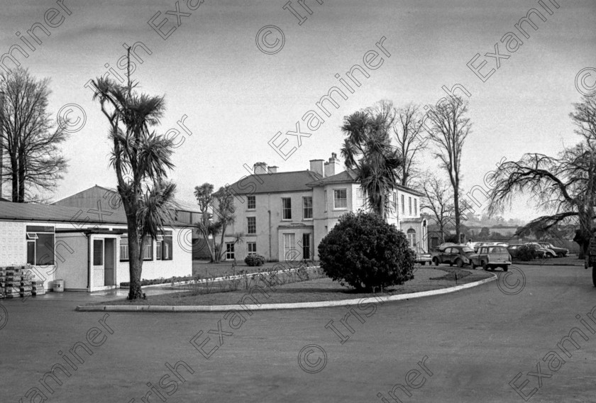 1179903 1179903 
 View of the former East Cork Foods factory premises at Mill Road, Midleton 21/1/1970 Ref. 108/61 old black and white factories