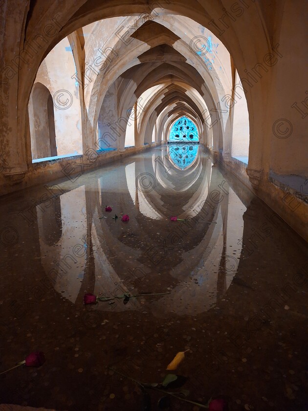 20241215 140407 
 Reflections and roses inside the Royal AlcÃ¡zar Palace, Seville, Spain, December 2024. Picture: Portia Dunican