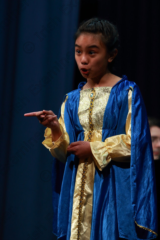 Feis01032019Fri31 
 31
3rd place performance from Jilliane Valdez from Montenotte singing “Shy” from Once Upon A Mattress.

Class: 114: “The Henry O’Callaghan Memorial Perpetual Cup” Solo Action Song 10 Years and Under –Section 2 An action song of own choice.

Feis Maitiú 93rd Festival held in Fr. Mathew Hall. EEjob 01/03/2019. Picture: Gerard Bonus