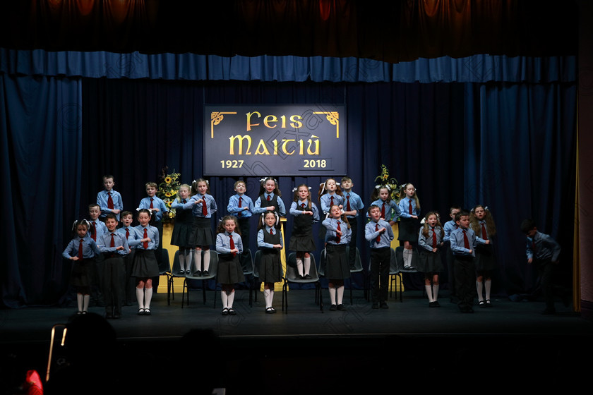 Feis13032018Tue27 
 27~30
Ovens NS 3rd Class performing “Great Gran Is Manic on Her Motorbike” as their own choice.
 Speech and Drama Class: 3rd & 4th Class Primary Schools, Action Verse Feis Maitiú 92nd Festival held in Fr. Mathew Hall. EEjob 13/03/2018 Picture: Gerard Bonus.