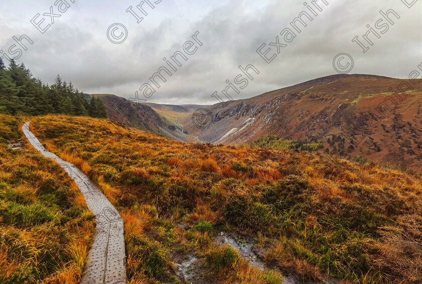 IMG 20221025 114023-01 
 Autumn at Glendalough in Co. Wicklow, Ireland