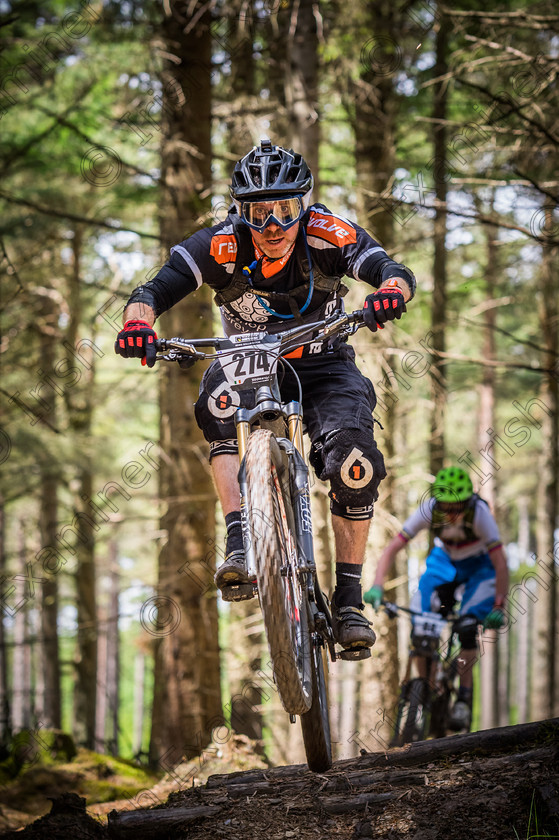 Bike Rider 
 Bike Rider, Gravity Enduro 24 June 2015 Ballinastoe Mountain Bike Trails in County Wicklow. Picture: Ireneusz Ciejka