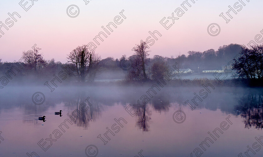 A pink moment at sunrise by Deirdre Casolani 
 A pink moment at sunrise on the Blackwater in Fermoy in February By Deirdre Casolani