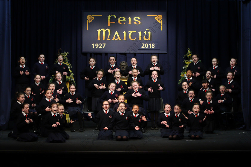 Feis23022018Fri22 
 15~31
St. Vincent’s 4th Class performing.
 Speech and Drama Class: 476: “The Peg O’Mahony Memorial Perpetual Cup” Choral Speaking 4th Class Feis Maitiú 92nd Festival held in Fr. Mathew Hall. EEjob 23/02/2018 Picture: Gerard Bonus.