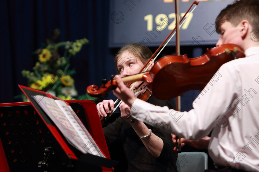 Feis10022019Sun40 
 40
The Crescendo Quartet; Kate Tompson, and James Dunne on violin.

Class: 269: “The Lane Perpetual Cup” Chamber Music 18 Years and Under
Two Contrasting Pieces, not to exceed 12 minutes

Feis Maitiú 93rd Festival held in Fr. Matthew Hall. EEjob 10/02/2019. Picture: Gerard Bonus