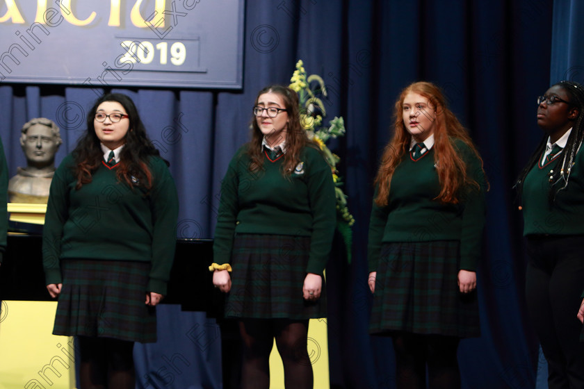 Feis08022019Fri28 
 27~29
Cashel Community School singing “Count The Stars” conducted by John Murray.

Class: 87: “The Cashs of Cork Perpetual Trophy” 19 Years and Under
Two contrasting songs.

Feis Maitiú 93rd Festival held in Fr. Matthew Hall. EEjob 08/02/2019. Picture: Gerard Bonus