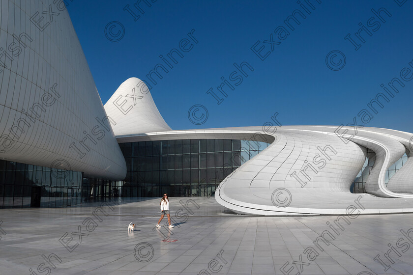 Dog 
 Girl walking with her dog at Heydar Aliyev Cultural Center, Baku, Azerbaijan.