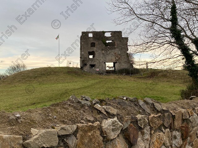 IMG 0833 
 â€œTir na nogâ€™s return â€œ Horse through a Castle , Newcastle ,co Wicklow Ireland ,Photographer Richard Dignam