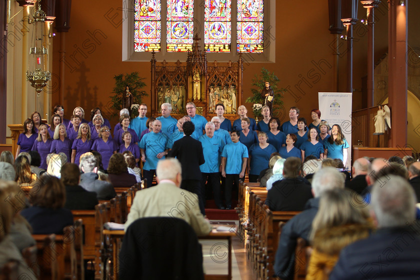 Feis04022018Sun56 
 49~57
Scrubs Choir conducted by Patrick Dalton.
 Holy Trinity Capuchin Church Adult Choirs Class: 78: “The Lynch Memorial Perpetual Cup” Adult Vocal Choirs Two Contrasting Songs Feis Maitiú 92nd Festival held in Fr. Matthew Hall. EEjob 02/02/2018 Picture: Gerard Bonus.