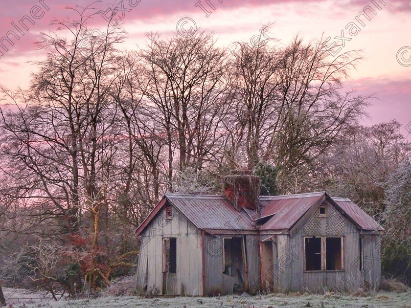 DSC03298-01 
 A house lies abandoned on a frosty January morning at Ballymahon, Co Longford.