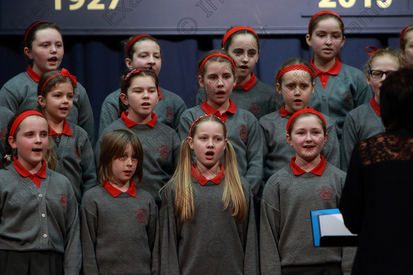 Feis28022019Thu15 
 14~16
St. Luke’s Primary School Douglas singing “Hi-diddle-dee-dee
an actor's life for me”.

Class: 84: “The Sr. M. Benedicta Memorial Perpetual Cup” Primary School Unison Choirs–Section 1Two contrasting unison songs.

Feis Maitiú 93rd Festival held in Fr. Mathew Hall. EEjob 28/02/2019. Picture: Gerard Bonus