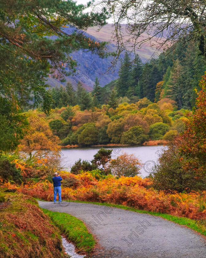 IMG 20221025 103012-01 
 Autumn at Glendalough in Co. Wicklow, Ireland