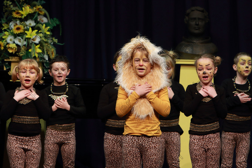 Feis12022019Tue20 
 17~24
Timoleague NS performing extracts from “The Lion King”.

Class: 104: “The Pam Golden Perpetual Cup” Group Action Songs -Primary Schools Programme not to exceed 8 minutes.

Feis Maitiú 93rd Festival held in Fr. Mathew Hall. EEjob 12/02/2019. Picture: Gerard Bonus