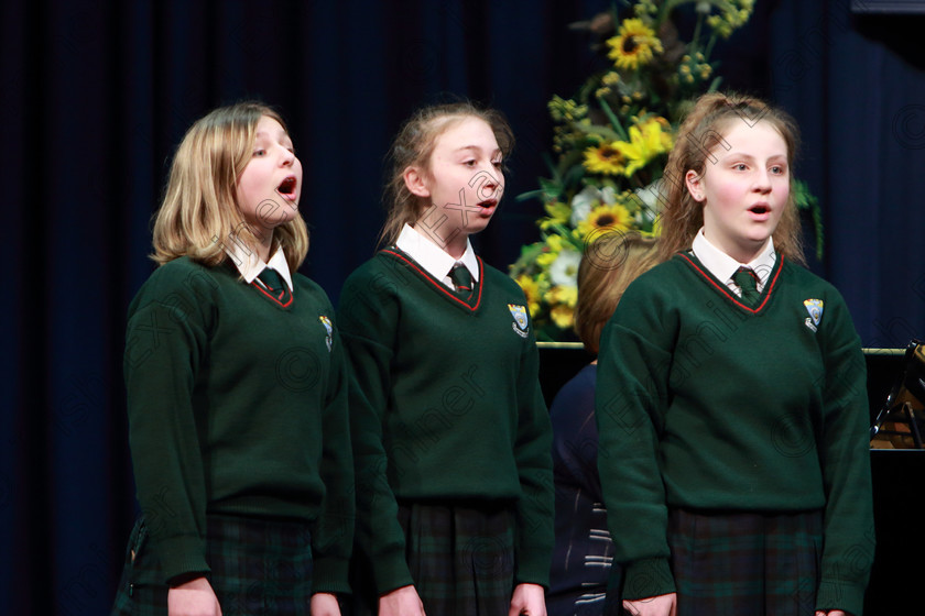 Feis08022019Fri24 
 24~26
Cashel Community School singing “Little Spanish Town” conducted by Ashlee Hally.

Class: 88: Group Singing “The Hilsers of Cork Perpetual Trophy” 16 Years and Under

Feis Maitiú 93rd Festival held in Fr. Matthew Hall. EEjob 08/02/2019. Picture: Gerard Bonus