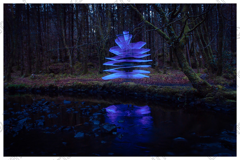 AdobePhotoshopExpress 1bf255191a224bad9e396a039656052d 
 Luminous shapes roving Slish woods, Co. Sligo