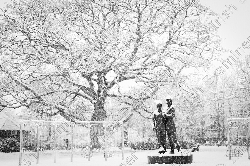 snow t-p 3 (B-W) 
 A b&w shot of Tralee town park snowed under last Sunday, 5th Jan. ("Rose of Tralee" statue in the foreground with the very old huge Oak tree as a backdrop)