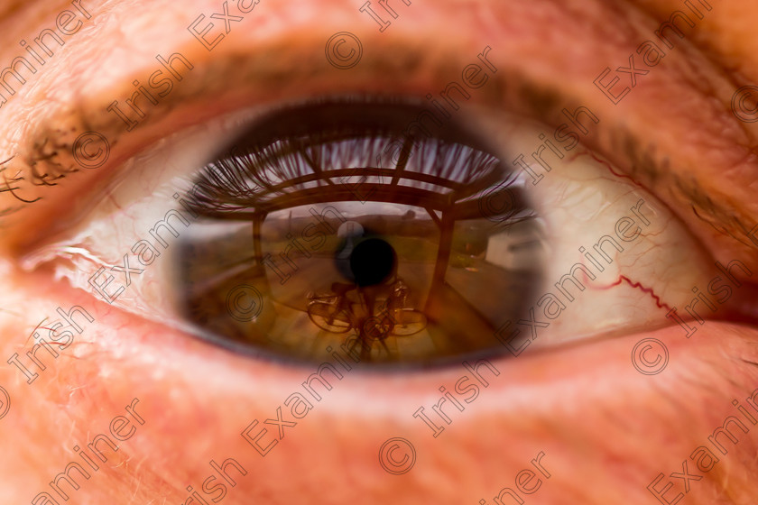 Reflection - My Eye-3136 
 Reflection - My Eye!! A photo of my own eye using a tripod and remote shutter release,taken in our patio area in Apr 2016 by myself Noel O Neill.Note the reflection of the bicycle,polytunnel and garden shed. 
 Keywords: KCC, Macro, Reflection, eye