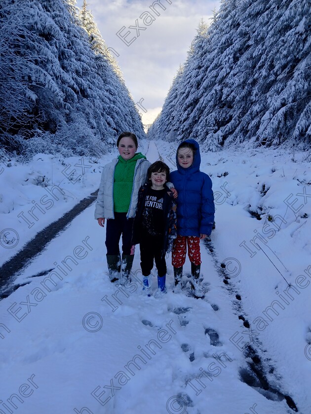 20241121 152506 
 Sinead, Ciara and Micheal Creedon put for a walk in the recent Snow, in Millstreet, Co. Cork