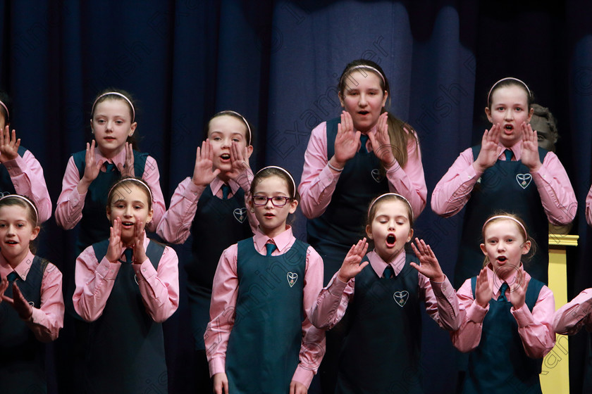 Feis10032020Tues38 
 37~42
Scoil Spioraid Naoimh Bishopstown performing Be Aware.

Class:476: “The Peg O’Mahony Memorial Perpetual Cup” Choral Speaking 4thClass

Feis20: Feis Maitiú festival held in Father Mathew Hall: EEjob: 10/03/2020: Picture: Ger Bonus.