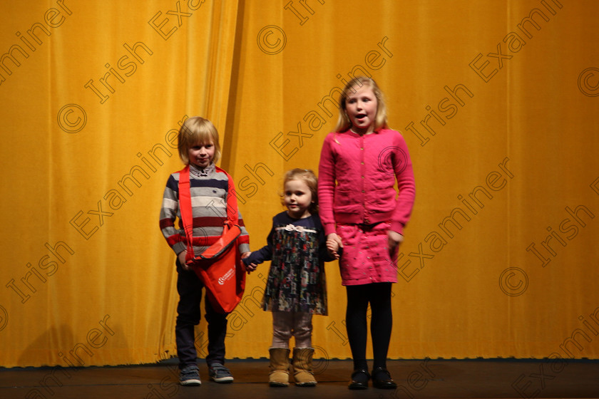 Feis14032018Wed39 
 38~42
Ella, Pascal and Lucia McCarthy from Bandon performed in Speech and Drama Class: 596: “Family Class” Feis Maitiú 92nd Festival held in Fr. Mathew Hall. EEjob 14/03/2018 Picture: Gerard Bonus.