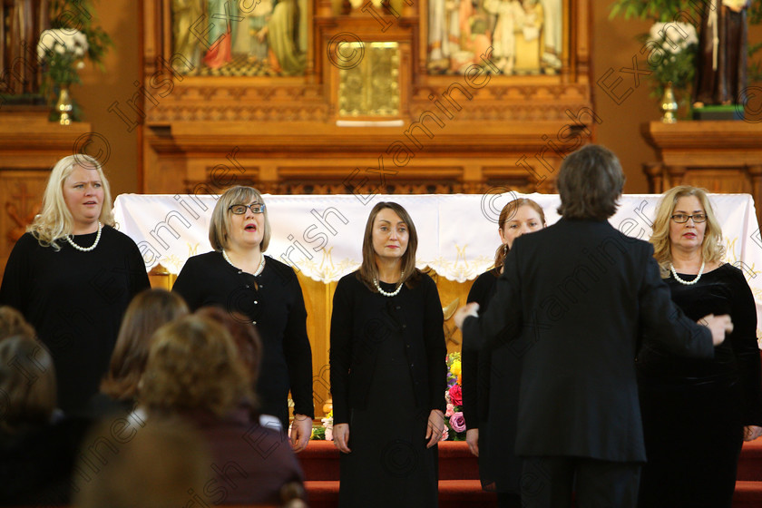 Feis04022018Sun15 
 13~16
Cor Lae Nua members conducted by Nicholas McMurry.
 Holy Trinity Capuchin Church Adult Choirs Class: 76: “The Wm. Egan Perpetual Cup” Adult Sacred Choral Group or Choir Feis Maitiú 92nd Festival held in Fr. Matthew Hall. EEjob 02/02/2018 Picture: Gerard Bonus.