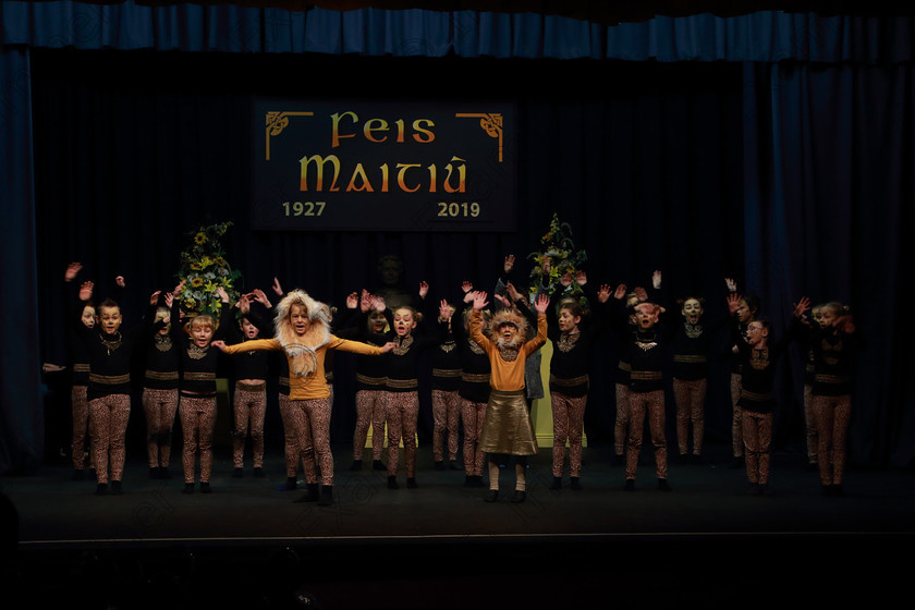 Feis12022019Tue21 
 17~24
Timoleague NS performing extracts from “The Lion King”.

Class: 104: “The Pam Golden Perpetual Cup” Group Action Songs -Primary Schools Programme not to exceed 8 minutes.

Feis Maitiú 93rd Festival held in Fr. Mathew Hall. EEjob 12/02/2019. Picture: Gerard Bonus