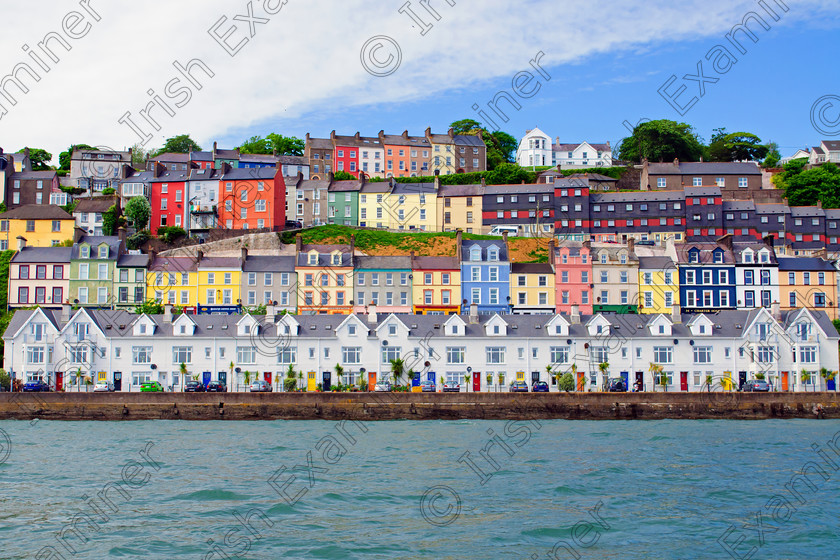 BOAT TRIP (425) c 
 The colour of Cobh Co Cork. Picture Lisa O Mahony