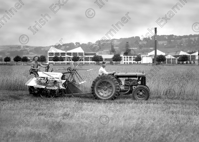 789687 
 For 'READY FOR TARK'
Harvesting of wheat at Ford's , Centre Park Road. 14/08/1940 Ref. 532C Old black and white factories farming fordson tractors