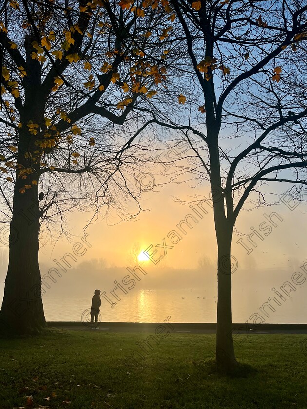 IMG 9957 
 Peaceful morning walk at the Lough, Co. Cork
Picture: Jenny Mc Aree