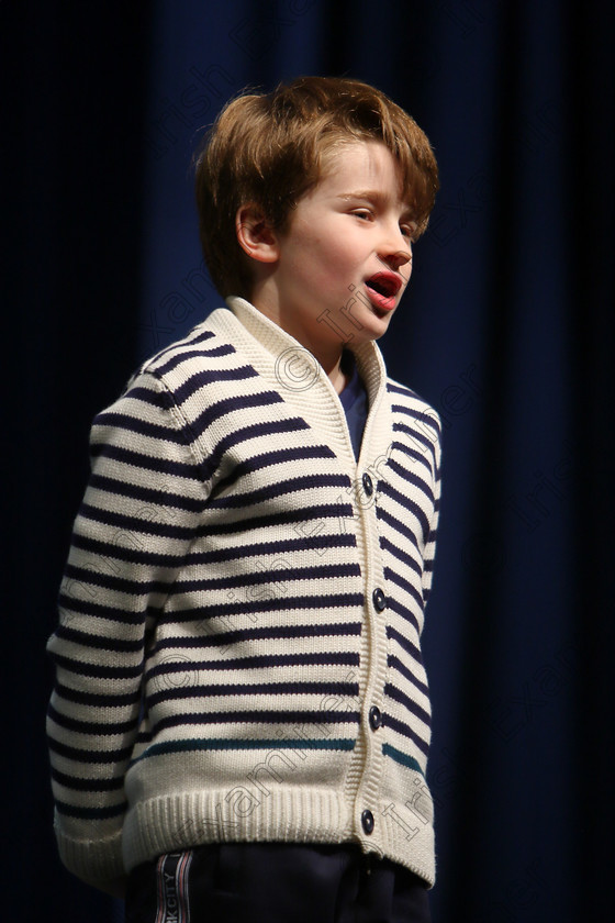 Feis11032018Sun24 
 24
Fionn Power from Ballyphane reciting his poem for a Bronze Medal