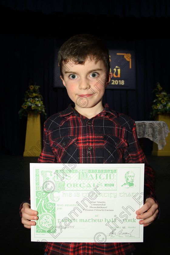 Feis22032018Thu34 
 34
Commended Oliver Yelverton from Glanmire.
 Labhairt na Filíocht agus Míreanna Drámaíochta Class: 517: “Corn Helen” Bhéarslabhairt 7 Bliana D’Aois Nó Faoina Roinn 2 Feis Maitiú 92nd Festival held in Fr. Mathew Hall. EEjob 22/03/2018 Picture: Gerard Bonus