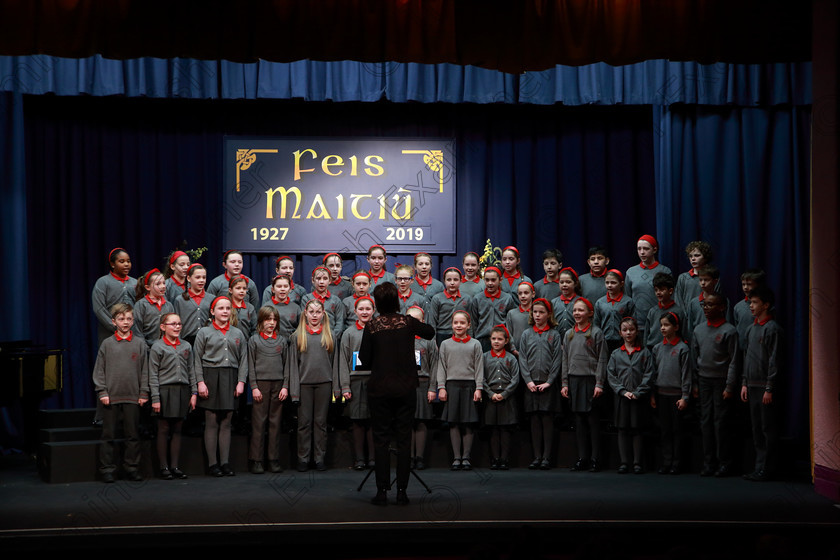 Feis28022019Thu14 
 14~16
St. Luke’s Primary School Douglas singing “Hi-diddle-dee-dee
an actor's life for me”.

Class: 84: “The Sr. M. Benedicta Memorial Perpetual Cup” Primary School Unison Choirs–Section 1Two contrasting unison songs.

Feis Maitiú 93rd Festival held in Fr. Mathew Hall. EEjob 28/02/2019. Picture: Gerard Bonus