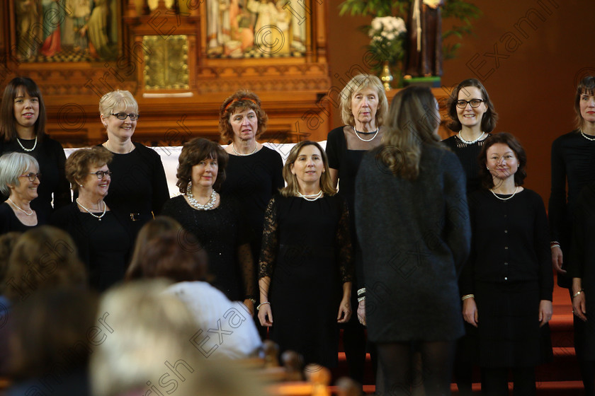 Feis04022018Sun63 
 63~70
Douglas Harmonia performing.
 Holy Trinity Capuchin Church Adult Choirs Class: 78: “The Lynch Memorial Perpetual Cup” Adult Vocal Choirs Two Contrasting Songs Feis Maitiú 92nd Festival held in Fr. Matthew Hall. EEjob 02/02/2018 Picture: Gerard Bonus.