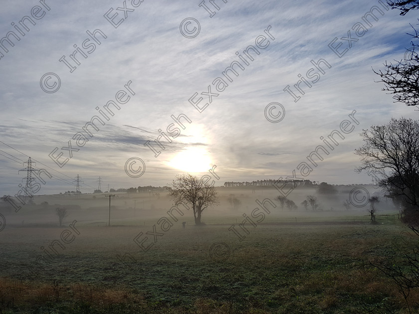 20170131 091243 
 Misty morning at careystown, Whitegate. 
Picture: Alex Forsyth