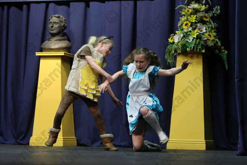 Feis24032018Sat64 
 63~65
Anna Louise Crowley and Christine Lucey performing a scene from “Goldilocks”.
 Speech and Drama Class: 312: Dramatic Duo 10 Years and Under Feis Maitiú 92nd Festival held in Fr. Mathew Hall. EEjob 24/03/2018 Picture: Gerard Bonus