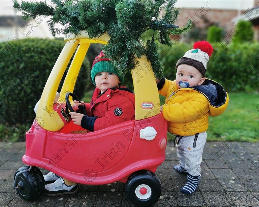 inbound751842135612833388 
 Driving home for Christmas. Felix (3 years) and Alastair Palmer (10 months) collecting the Christmas tree in Rochestown.