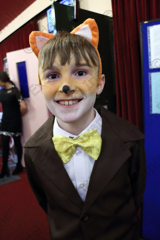 Feis06032020Fri12 
 12
Calum Somers from Rathcormac performed Fantastic Mr. Fox.

Class:328: “The Fr. Nessan Shaw Memorial Perpetual Cup” Dramatic Solo 10 Years and Under

Feis20: Feis Maitiú festival held in Father Mathew Hall: EEjob: 06/03/2020: Picture: Ger Bonus.