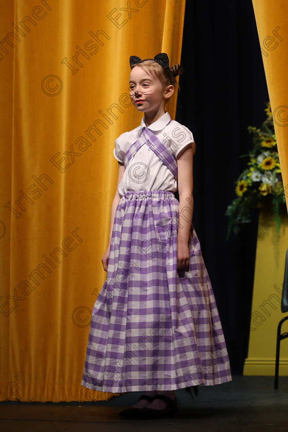 Feis20032018Tue29 
 29~32
Charlotte Herlihy from Ballinhassig giving a Silver Medal performance of “The Tale of Tom Kitten” by Beatrix Potter.
 Speech and Drama Class: 329: Dramatic Solo 8 Years and Under Feis Maitiú 92nd Festival held in Fr. Mathew Hall. EEjob 20/03/2018 Picture: Gerard Bonus