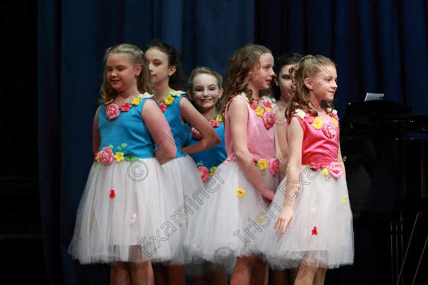 Feis27022020Thur39 
 39~43
Montford College of Performing Arts performing Anastasia for Third place.

Feis20: Feis Maitiú festival held in Father Mathew Hall: EEjob: 27/02/2020: Picture: Ger Bonus.