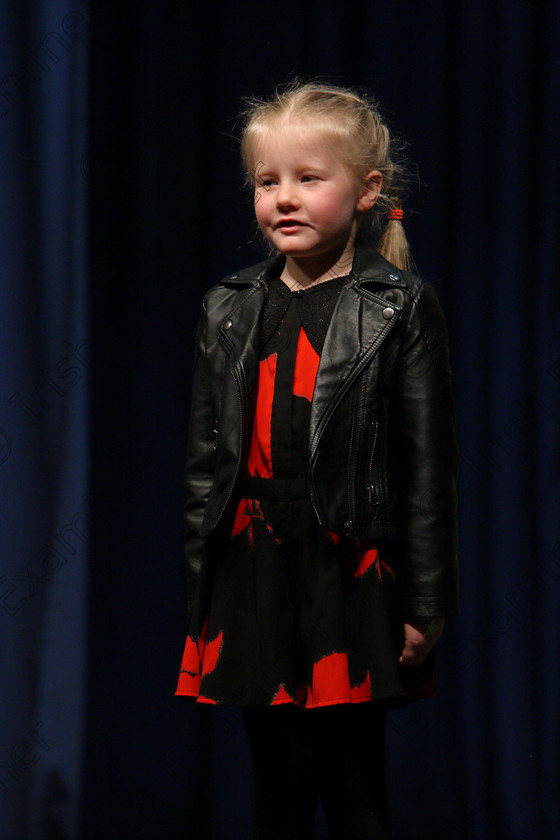 Feis24022018Sat28 
 28
Hannah O’Driscoll performing.
 Speech and Drama Class: 369: Solo Verse Speaking Girls 6 Years and Under Section 3 Feis Maitiú 92nd Festival held in Fr. Mathew Hall. EEjob 24/02/2018 Picture: Gerard Bonus.