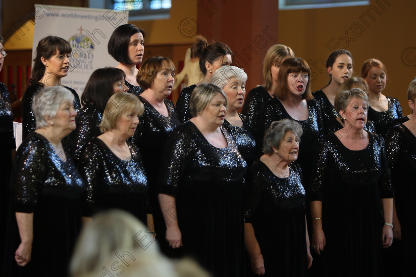 Feis04022018Sun75 
 71~76
The Voices conducted by Mary Pedder Daly 
 Holy Trinity Capuchin Church Adult Choirs Class: 78: “The Lynch Memorial Perpetual Cup” Adult Vocal Choirs Two Contrasting Songs Feis Maitiú 92nd Festival held in Fr. Matthew Hall. EEjob 02/02/2018 Picture: Gerard Bonus.