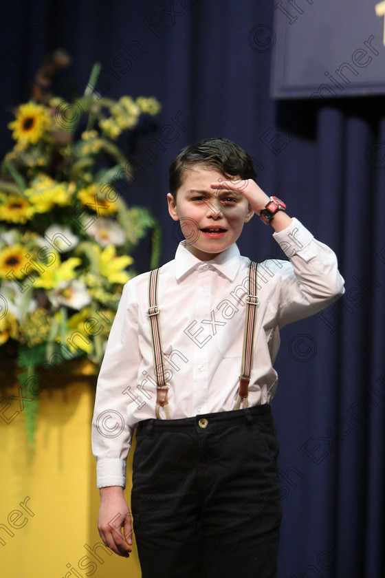 Feis16032018Fri31 
 30~31
Sam Scriven performing “Hansel and Gretel”.
 Speech and Drama Class: 328: “The Fr. Nessan Shaw Memorial Perpetual Cup” Dramatic Solo 10 Years and Under Section 3 Feis Maitiú 92nd Festival held in Fr. Mathew Hall. EEjob 16/03/2018 Picture: Gerard Bonus.