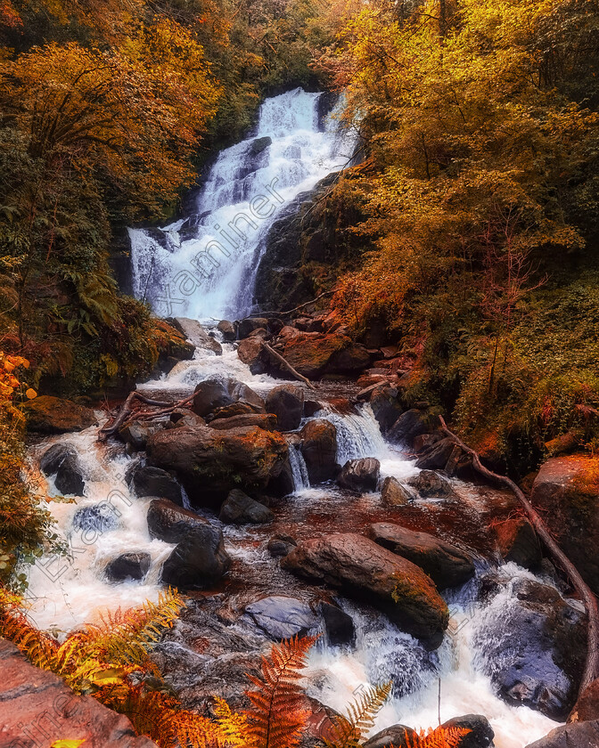 IMG 20221010 093547-01 
 Autumn vibes at Torc Waterfall in Killarney National Park