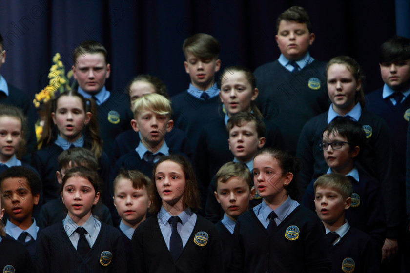 Feis28022019Thu19 
 17~21
Scoil Naomh Fionán. Rennies singing “Mama Mia”.

Class: 84: “The Sr. M. Benedicta Memorial Perpetual Cup” Primary School Unison Choirs–Section 1Two contrasting unison songs.

Feis Maitiú 93rd Festival held in Fr. Mathew Hall. EEjob 28/02/2019. Picture: Gerard Bonus