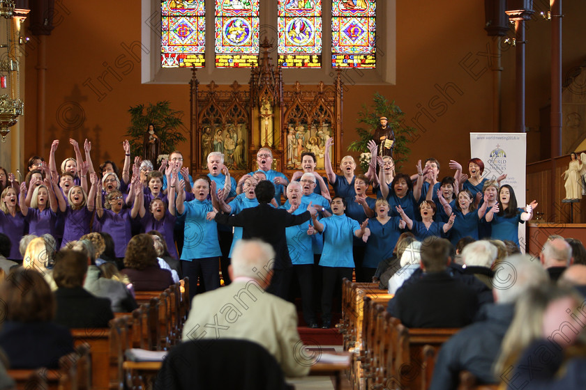 Feis04022018Sun57 
 49~57
Scrubs Choir conducted by Patrick Dalton.
 Holy Trinity Capuchin Church Adult Choirs Class: 78: “The Lynch Memorial Perpetual Cup” Adult Vocal Choirs Two Contrasting Songs Feis Maitiú 92nd Festival held in Fr. Matthew Hall. EEjob 02/02/2018 Picture: Gerard Bonus.