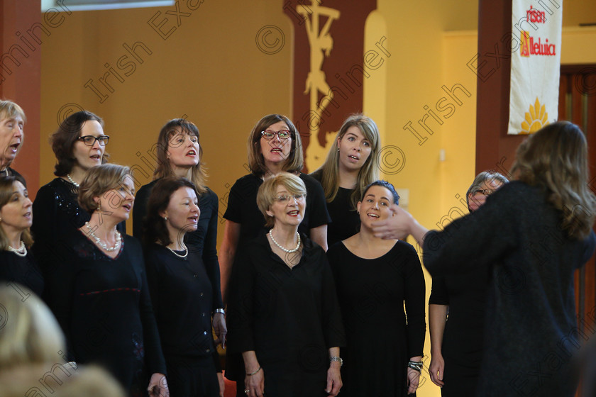 Feis04022018Sun65 
 63~70
Douglas Harmonia performing.
 Holy Trinity Capuchin Church Adult Choirs Class: 78: “The Lynch Memorial Perpetual Cup” Adult Vocal Choirs Two Contrasting Songs Feis Maitiú 92nd Festival held in Fr. Matthew Hall. EEjob 02/02/2018 Picture: Gerard Bonus.